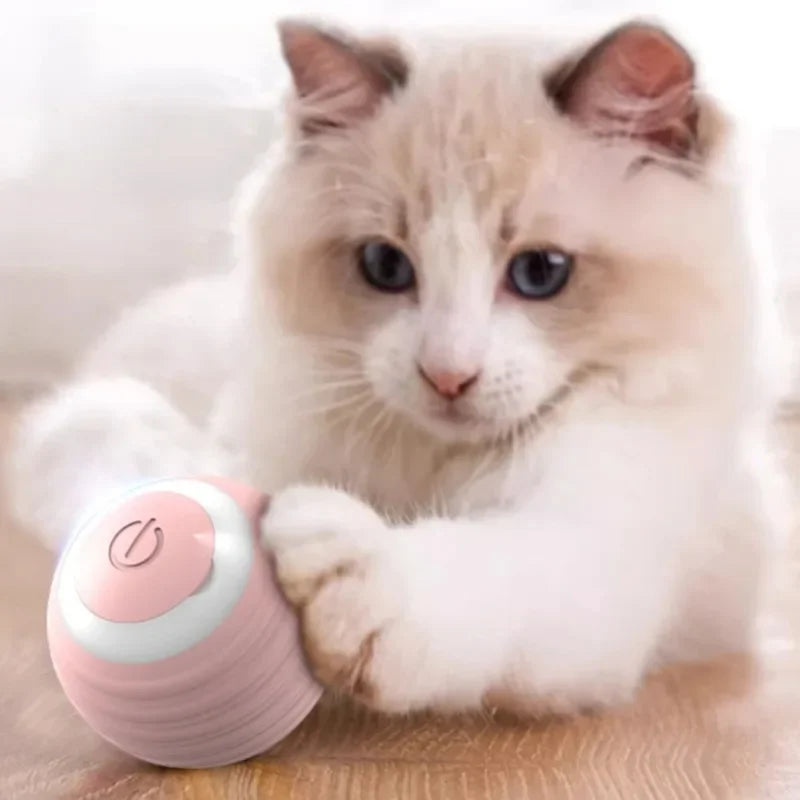 Smart 360° Rotating Cat & Dog Toy Ball